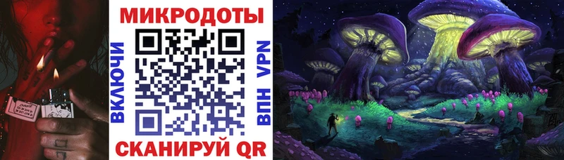 Галлюциногенные грибы Psilocybine cubensis Фролово